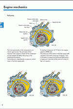 ������� ��� ���������, ������� �������� ��������� � ����� ����.