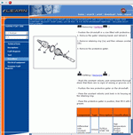 ������� ��� ���������, ������� �������� ��������� � ����� ����.