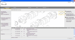 ������� ��� ���������, ������� �������� ��������� � ����� ����.